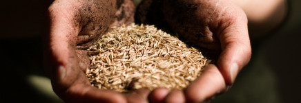 Ooijevaar isoleert daken met vlas