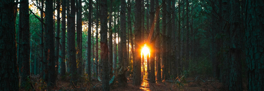 EPBD uitgelegd in bijlagen