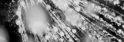 Ziekenhuis Tjongerschans legionellavrij door inzet koper- en zilverionisatie