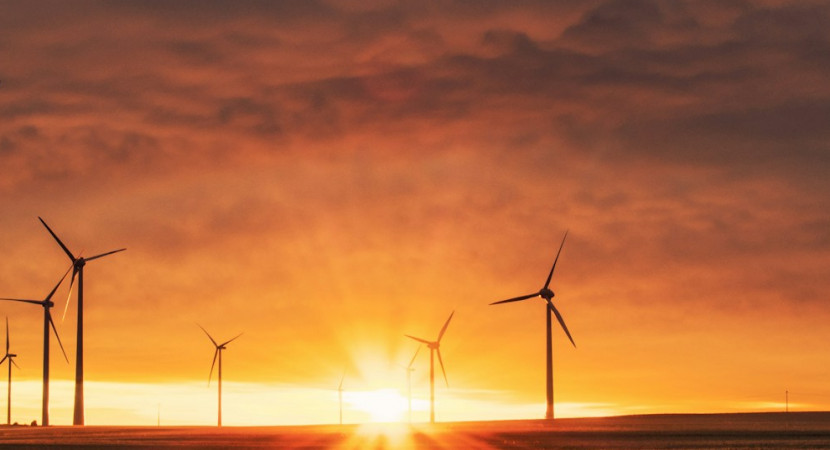 Webinar: Geld verdienen en geld besparen met duurzaamheid