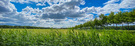 Doe mee met de studentenwedstrijd: wat is jouw toekomstbeeld voor het Nederland van 2030?