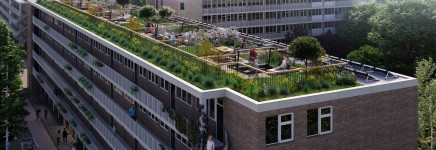 Alles over optoppen in TOP-magazine